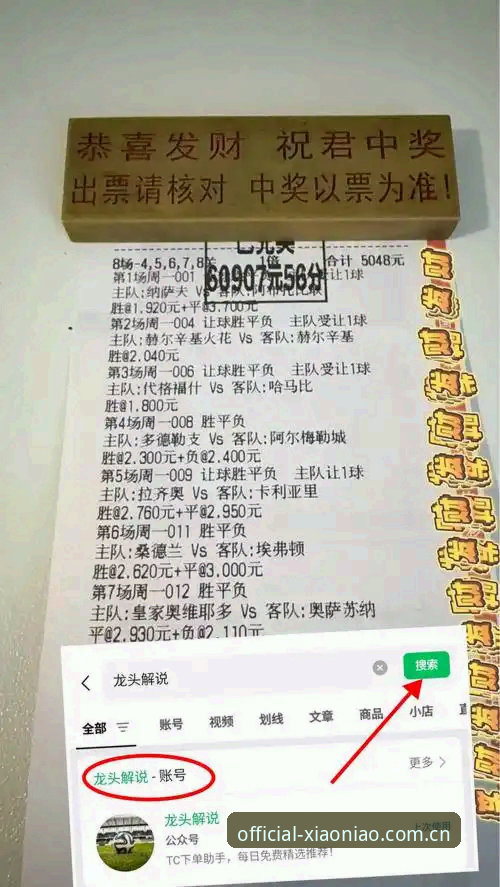 海外华人小鸟体育赛事数据下载失败？实战派全面解析解决方案