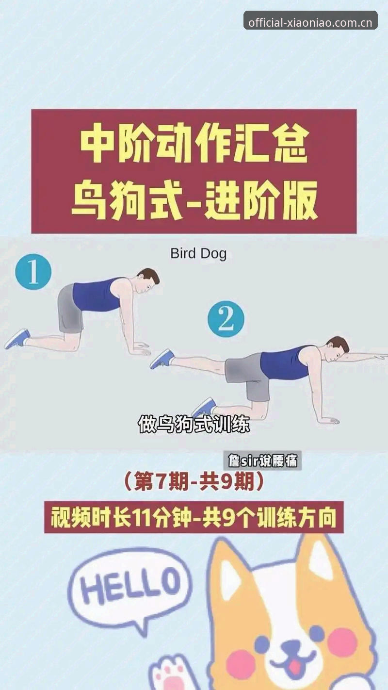 小鸟体育使用教程常见问题：功能特点与操作技巧的完整指南