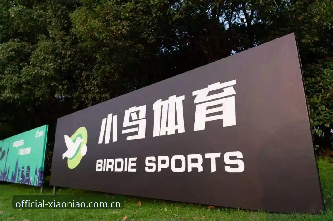 小鸟体育官网入口使用全解析：从注册到赛事数据订阅一步到位