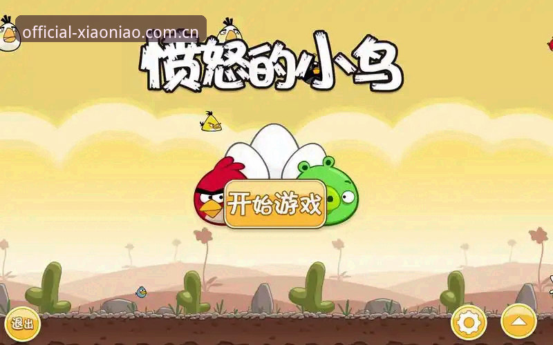 揭秘小鸟体育最新版本中你不知道的隐藏功能：从安装到赛事订阅的完整指南