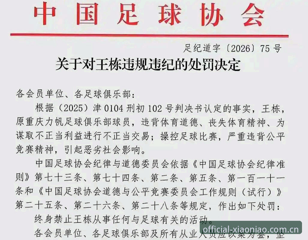 小鸟体育安装指南 中国足协第三批禁足名单全面解析:65人受罚,足球反腐进入深水区